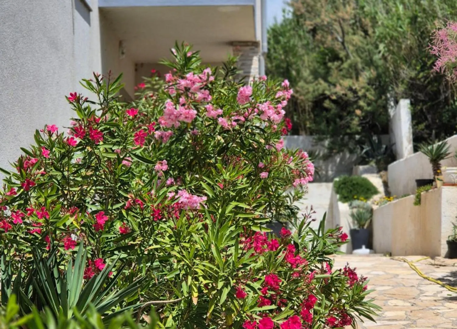 Apartment Perla Dinjiška 0*,